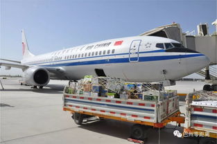 巴州2019年農(nóng)特產(chǎn)品航空貨運(yùn)專號續(xù)航啟動 高效物流助力特色經(jīng)濟(jì)騰飛