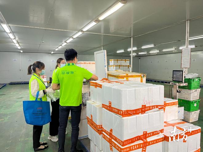 凌晨出擊，守護舌尖安全 全省2165家農(nóng)貿(mào)市場全面啟動食用農(nóng)產(chǎn)品快速檢測